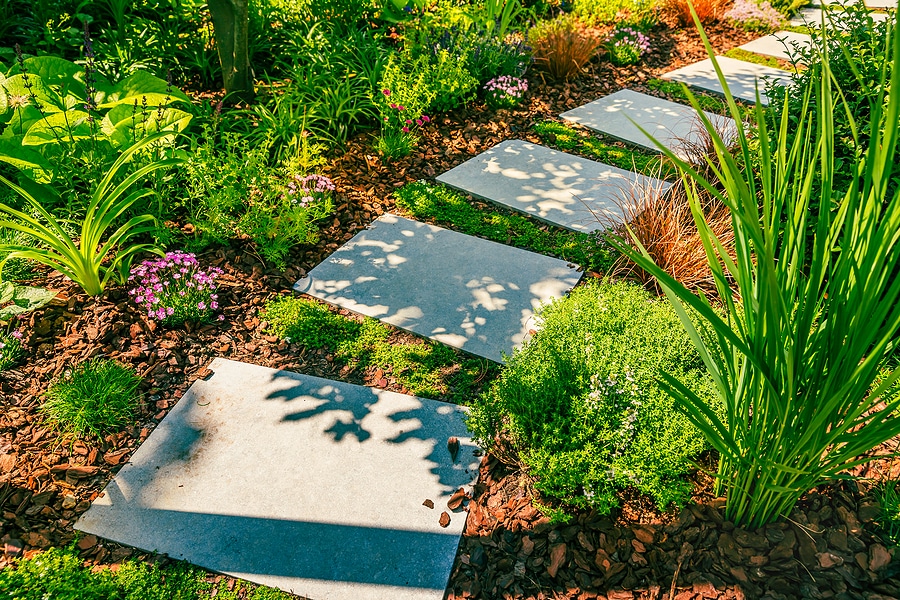 From Our Experts: Beat the Summer Heat with Strategic Mulching